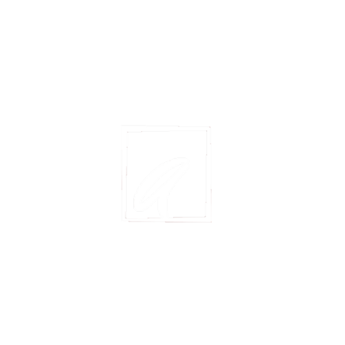 LOGO TRANPARENTE AMORIM2.png